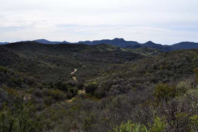 Whitehorse Canyon