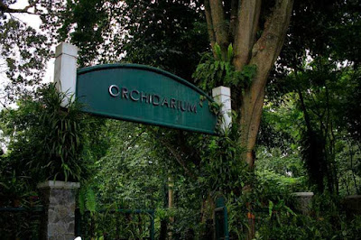 Taman Orchidarium Kebun Raya Bogor