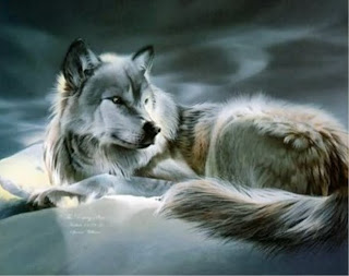 white wolf anime wallpaper wolve