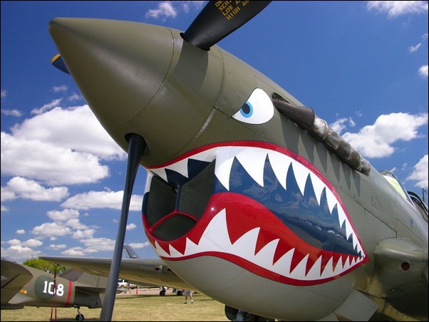 Aircraft Nose Art 09