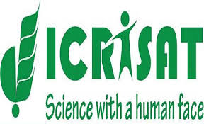 ICRISAT Chickpea Genomics JRF Vacancy | in Crop Genomics/Molecular Breeding 