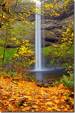 silver-falls-2