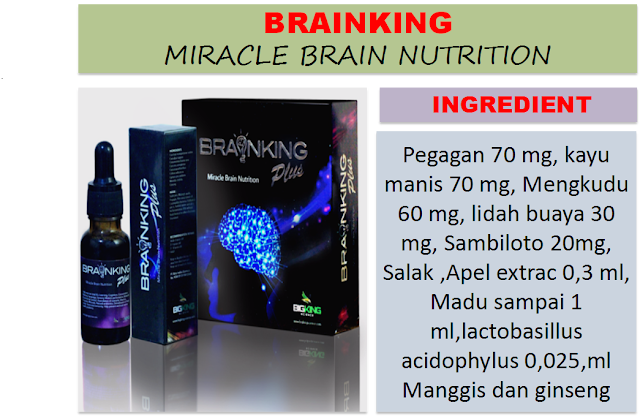 http://www.brain-king-plus.com/