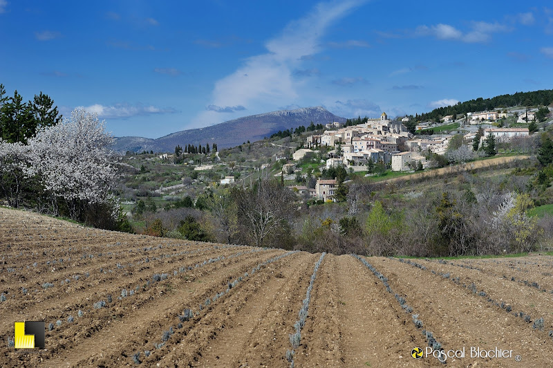 aurel village du vaucluse photo pascal blachier au delà du cliché