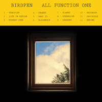 BirdPen - All Function One