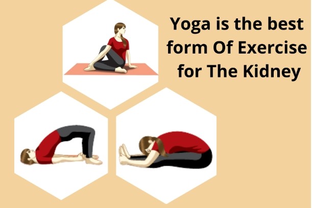 Yoga is the best form Of Exercise for The Kidney