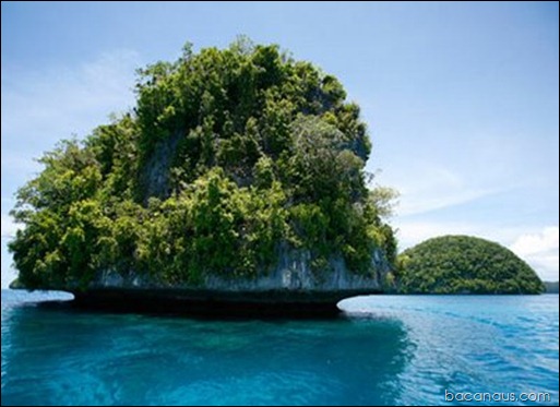 Palau bacanaus 3