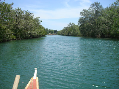 the river in Sipalay City