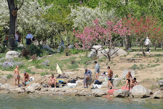 Swimmers at Yuyuantan Park