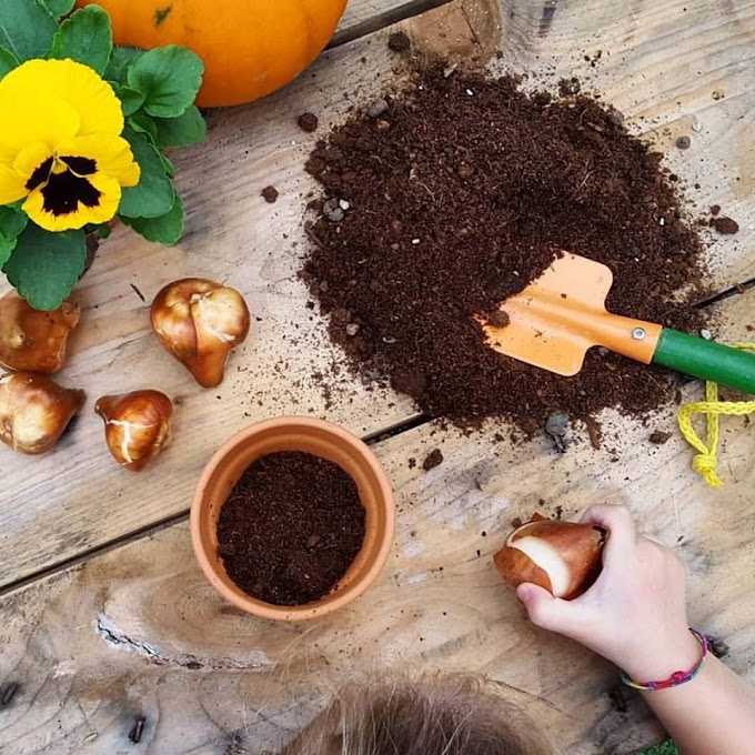 Quarta edizione 'Autunno Stagione del Fare' nei centri di giardinaggio AICG in tutta Italia