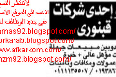شركه كيتو - احدى شركات قبنورى