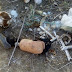 Restos mortais são encontrados ao lado de prótese de perna na zona rural de Araci