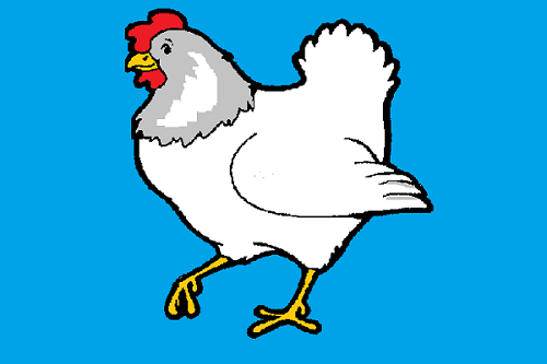  Cara  Berkembang  Biak  Ayam REFERENSI BEBAS
