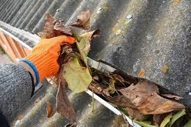 Roof Gutter Cleaning