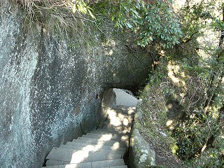 P1030421jpg