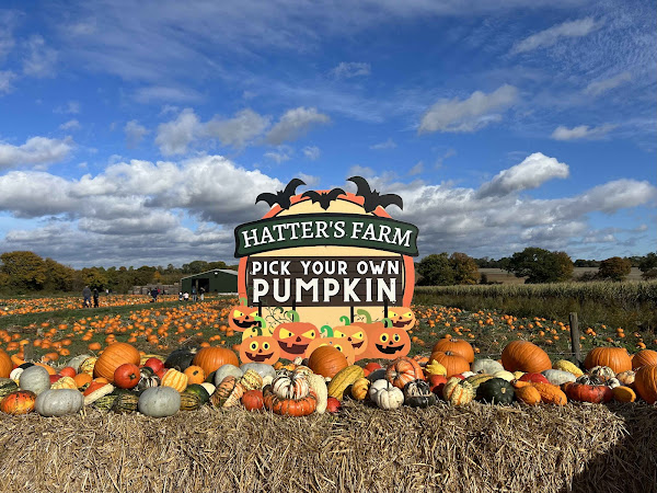 Review: Hatter's Farm Pick Your Own Pumpkin