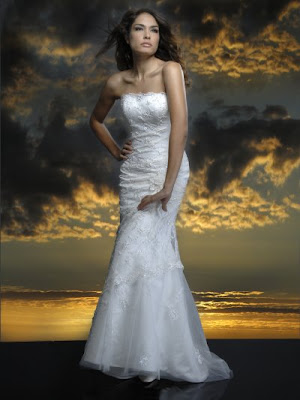 Tulle Mermaid Wedding Dress