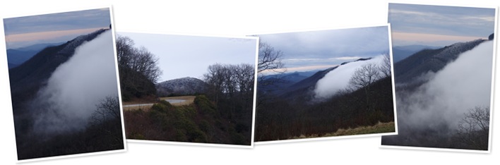 View BRP