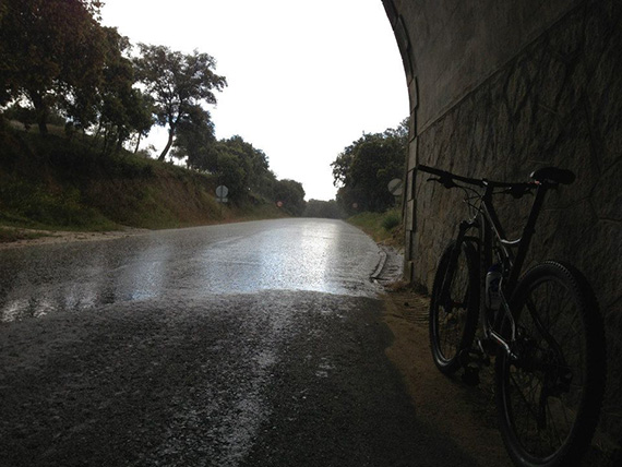 Unas fotos de nuestra ruta por el Pardo - Mayo 2013