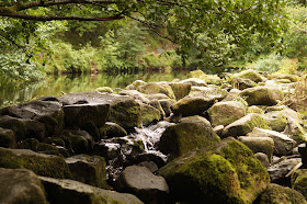 Castle Drogo and Fingle bridge walk