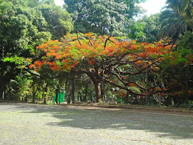 Parque Municipal Américo Renné Giannetti em Belo Horizonte