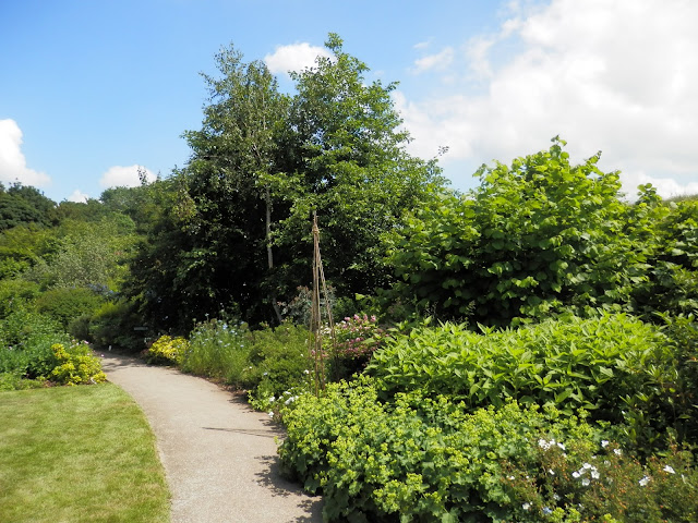 Garden visit, the gardens at Severn Hospice, Apley.  From UK garden blogger secondhandsusie.blogspot.com