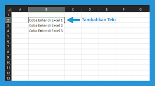 how to enter in excel cell