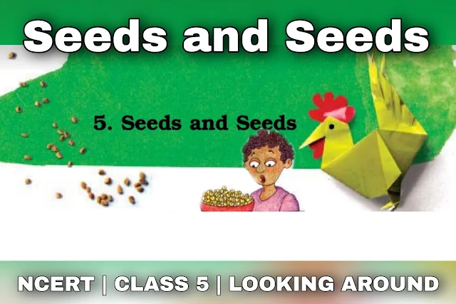 NCERT Class 5 Environmental Studies Chapter 5 Seeds and Seeds