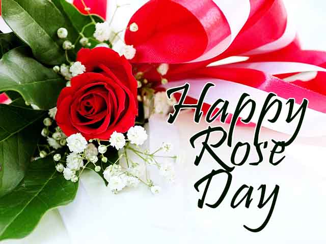 Happy Rose Day 2022 Images, Wallpapers, Pics & Photos