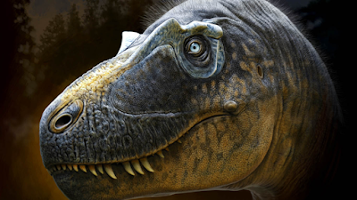 Реконструкция того, как мог выглядеть новый тираннозавр, Daspletosaurus wilsoni. Окаменелости предполагают, что у него было уникальное расположение шипастых рогов, окружающих его глаза. (Фото: livescience.com)