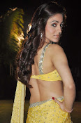 Aksha pardasany latest hot pics-thumbnail-5
