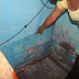 Daños a la salud y viviendas por carencia de drenaje en Chiconautlán 3000,  en Ciudad Cuauhtémoc