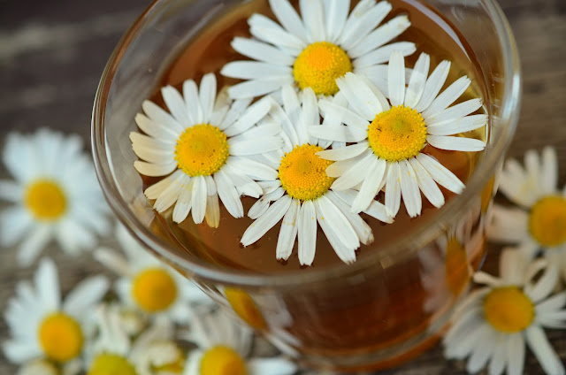 teh chamomile