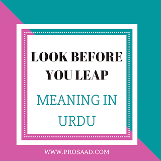 Look Before You Leap Meaning In Urdu