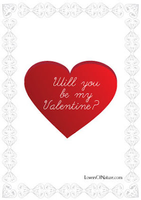 I Love You-Will You be My Valentine