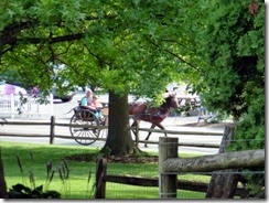 Amish transportation