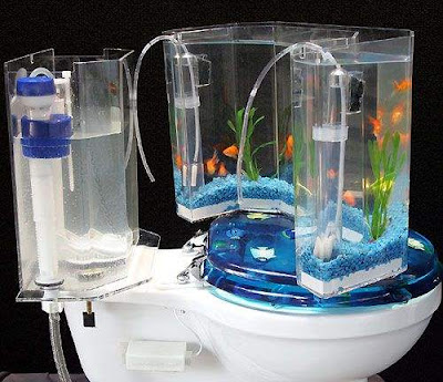 Creative flush toilet Aquarium