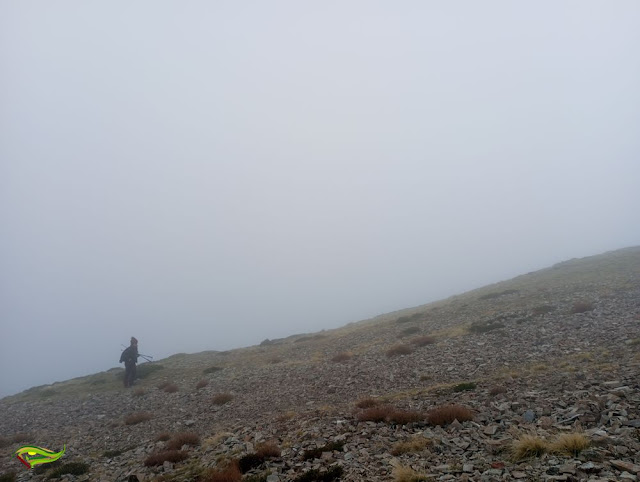 Subida al Techo de la Rioja. Pico San Lorenzo (Sierra de La Demanda)