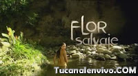 Flor Salvaje Telenovela