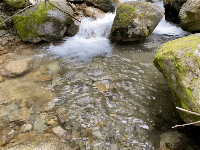 Japanese mountain stream