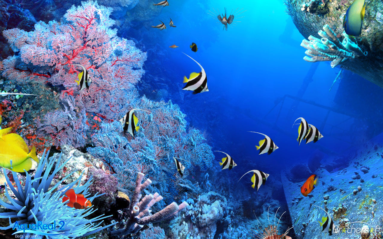 hewan lucu 2016: animasi bergerak pemandangan bawah laut ...