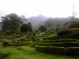 akcayatour, Candi Gedong Songo, Travel Malang Semarang, Travel Semarang Malang