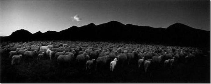 Barun-Khemchik, Tuva, Siberia, 1997