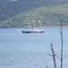 View album