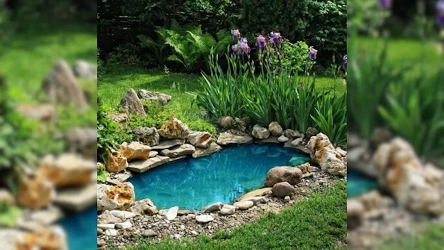 Pond in the garden: 7 tips on how to arrange a decorative pond