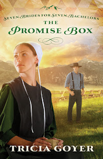 Review - The Promise Box