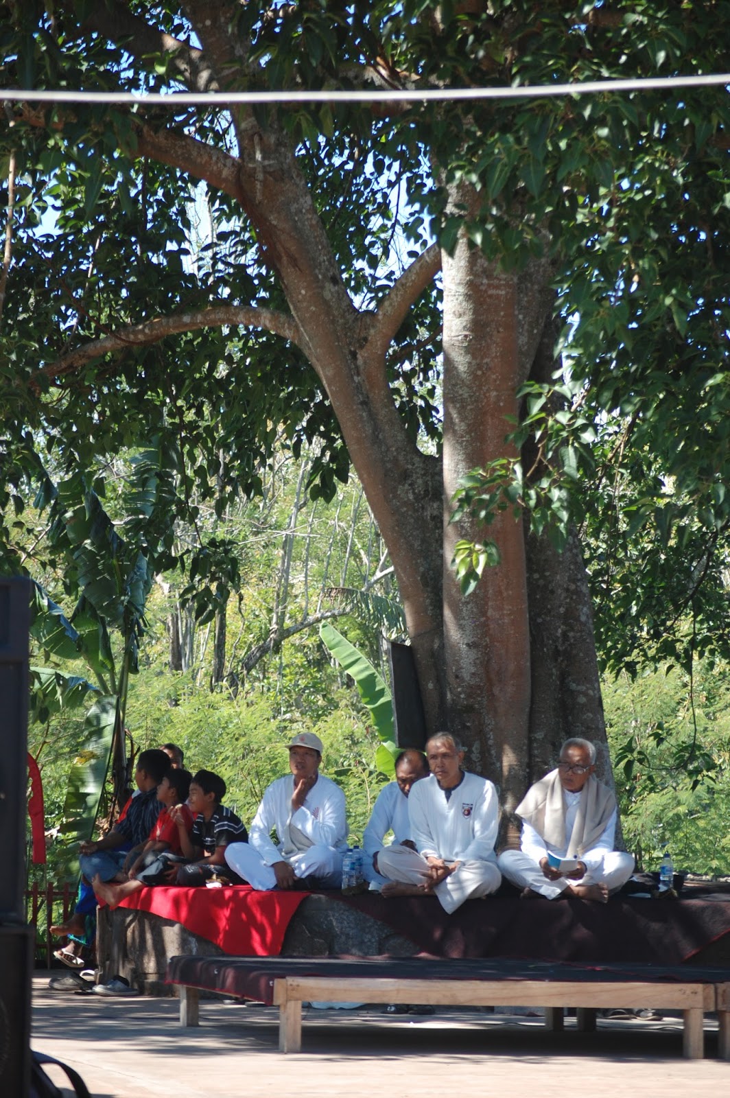 Majalah Hindu Raditya Tuah Sakti Pohon Beringin Dan Ancak