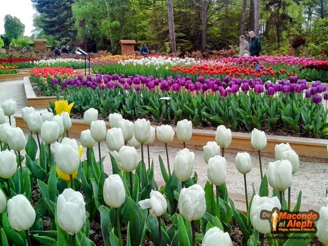 Parque Floral de Paris Bosque de Vincennes 14
