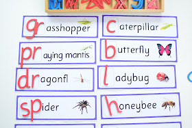 INSECT THEMED BEGINNING LETTER SOUND