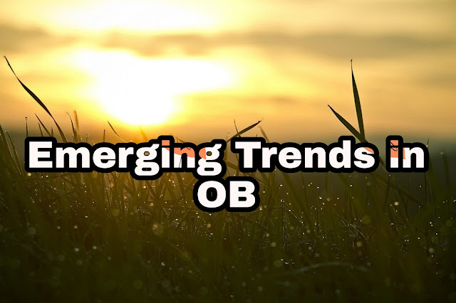 Emerging Trends in Organizational Behaviour (OB)